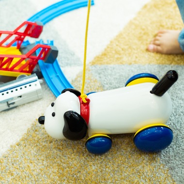 RIE NAGASHIMA photography:)が撮影した「Home Party _2019.01」の写真