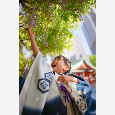 THALISHが撮影した「七五三@日枝神社」の写真