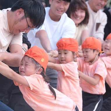 プロカメラマン　竹之下　光（あきら）が撮影した「保育園/幼稚園」の写真