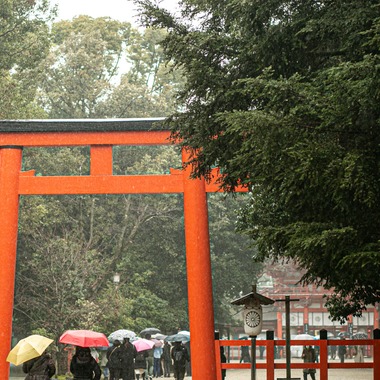 Photo taken by 人見写真事務所 - Kyoto Shrine Ceremony/Ryotei