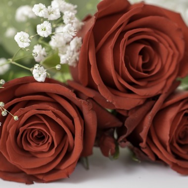 ミヤタカズコが撮影した「花のある生活」の写真