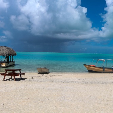 藤井が撮影した「タヒチ」の写真