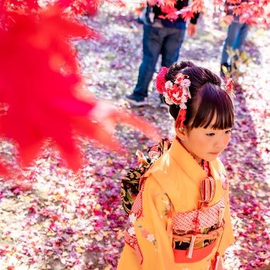 出張カメラマンのY's Officeが出張撮影した「七五三出張撮影」の家族写真