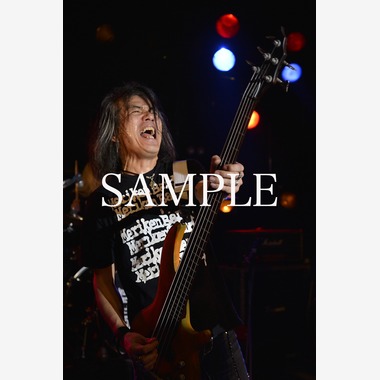 TOKOが撮影した「速写」の写真