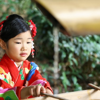 Photographer  Tomoが撮影した「七五三祝い」の写真