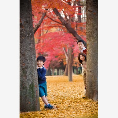 Right-Light (菅 正輝)が撮影した「フォトギャラリー」の写真