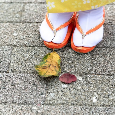 隈元智子が撮影した「七五三」の写真