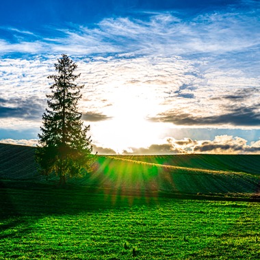 高木勇斗が撮影した「風景　物撮り」の写真
