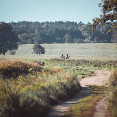 Photo taken by Jacek Cichopek - poland wedding