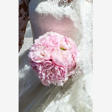 Dphotoreportageが撮影した「イタリア」の写真