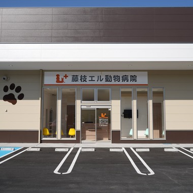 出張撮影くろめっとが撮影した「部屋、建物、風景などを撮影した写真」の写真