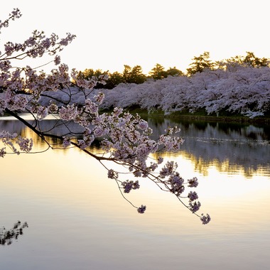 TATEZOUが撮影した「風景写真」の写真