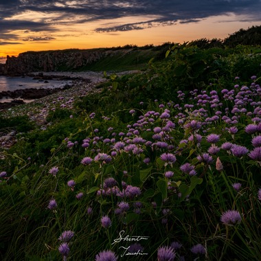 Shintaro Tsushimaが撮影した「風景」の写真