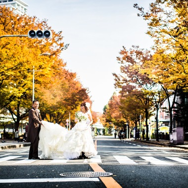 阿部写真館　大阪本町 靭公園前が撮影した「紅葉」の写真