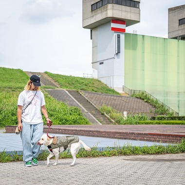 吉田佳央が撮影した「DOG SHOOTING」の写真