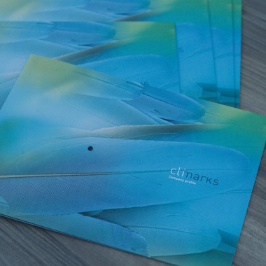 Yasui photographyが撮影した「企業求人」の写真