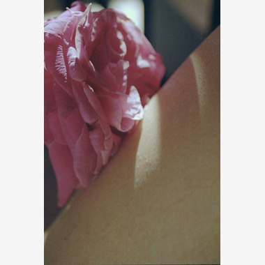 石田将大が撮影した「Untitled」の写真