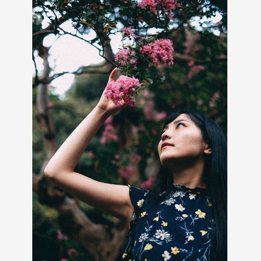 YUが撮影した「」の写真