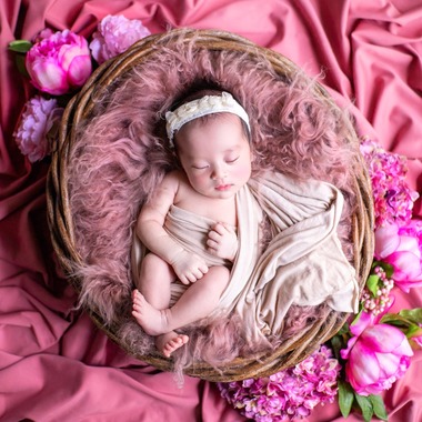 辻本 杏奈が撮影した「新生児フォト」の写真