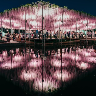 光画堂スタジオが撮影した「旅行」の写真