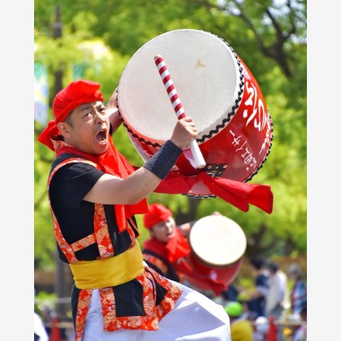 タコヤキが撮影した「イベント撮影など」の写真