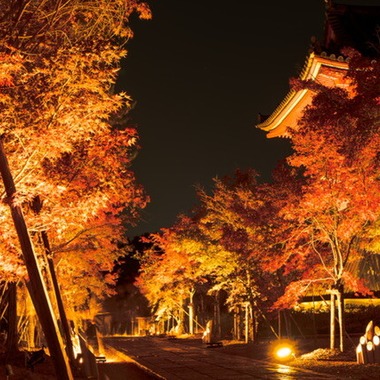 堀田佳資が出張撮影した「風景」の家族写真