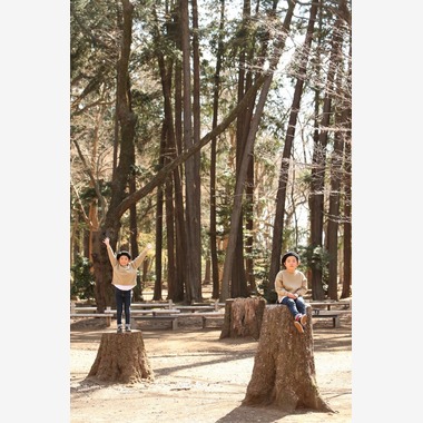 Photographer  Tomoが撮影した「双子とベビーの記念写真@井の頭公園」の写真