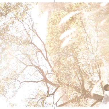 Photo taken by k.uemura - Pre-wedding photo shoot/on-site photo shoot