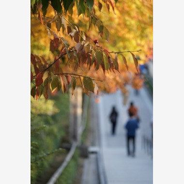 堀田佳資が出張撮影した「風景」の家族写真