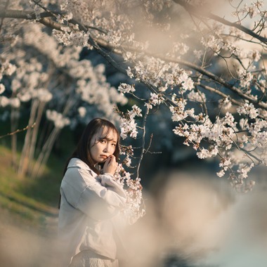 白石智啓が撮影した「櫻の物語」の写真