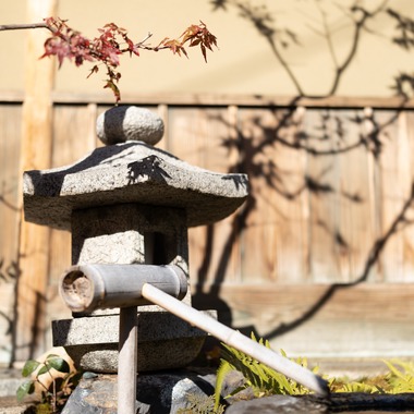 Etographが撮影した「レストラン/店舗インタビュー」の写真