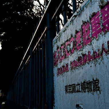 KotobukiPhotosが撮影した「ストリートスナップ」の写真