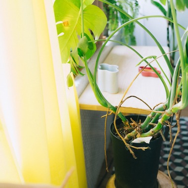 MIFUNEが撮影した「interior」の写真