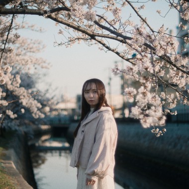 白石智啓が撮影した「櫻の物語」の写真