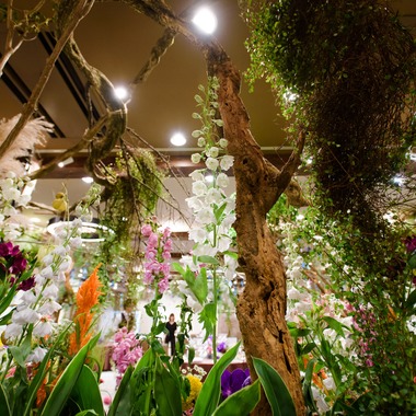 Photo taken by atelier epica/kaz 43zoo - theme wedding