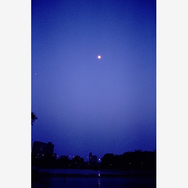 石田将大が撮影した「Untitled」の写真