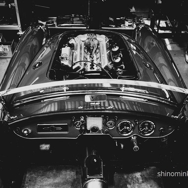 しのみんこフォトが撮影した「商品/物撮り」の写真