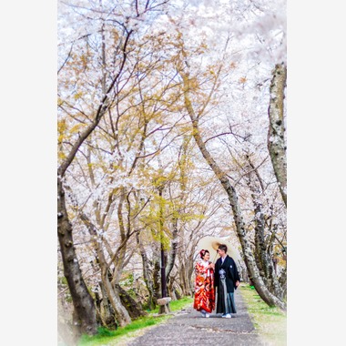 Photo taken by Green Tea Photography - 