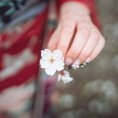 伊藤雄太写真館が撮影した「成人式前撮り撮影」の写真