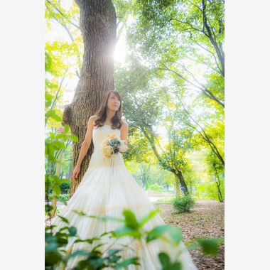 阿部写真館　大阪本町 靭公園前が撮影した「緑のロケーション」の写真