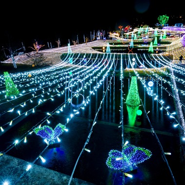 光画堂スタジオが撮影した「各種イベント」の写真