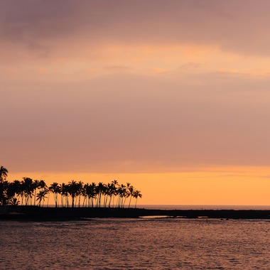 マイクロコズム合同会社が撮影した「風景」の写真