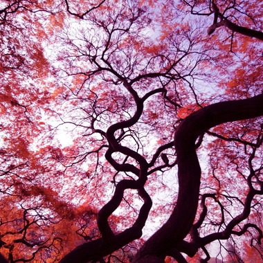 熊谷順写真事務所が撮影した「日本の美しい風景」の写真