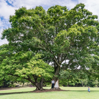 ヨッシ～が出張撮影した「家族写真」の家族写真