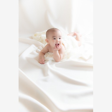 ココロクラフトが撮影した「」の写真