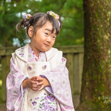 Act-brandingが撮影した「七五三出張撮影＠白山比咩神社」の写真