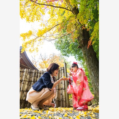 大森美紗生が撮影した「武田神社(山梨県)での七五三ロケーションフォト」の写真