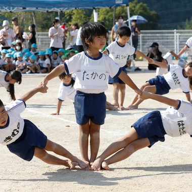 HARAデザインが撮影した「運動会(保育園)」の写真