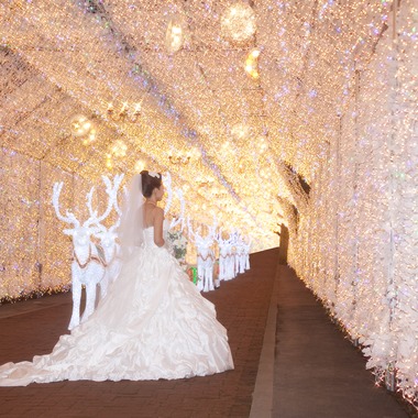 あとりえmagが撮影した「ファンタジア」の写真