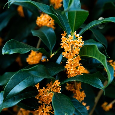 工藤が撮影した「風景写真」の写真